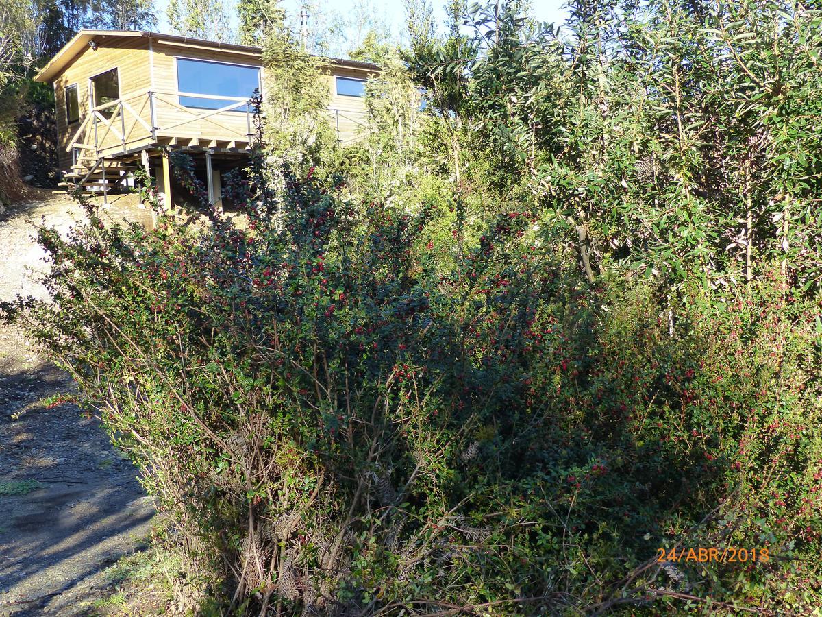 Cabanas Latitud 41 Sur Quillaipe Luaran gambar